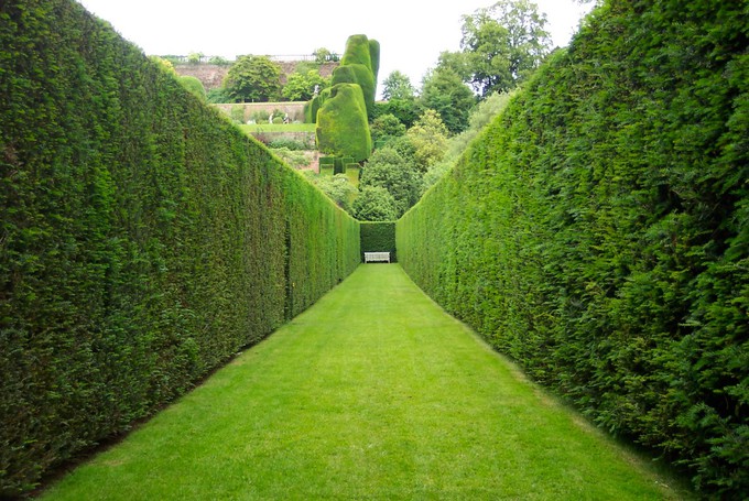 La haie  Qu’estce qu’une haie ?  Parcs et jardins Parcs et jardins
