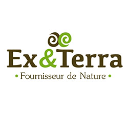 Aménagement extérieur Orchies - Ex&Terra